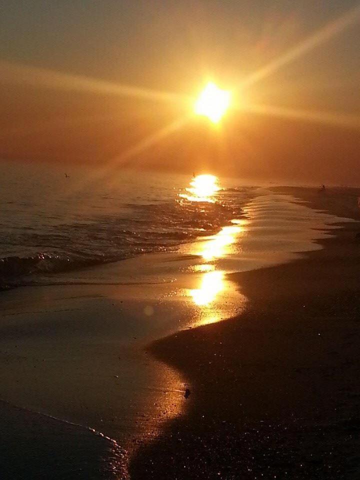The Original Romar House Bed And Breakfast Inn Orange Beach Esterno foto